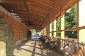 Vue intérieure de l'entrepôt de fourrage