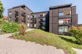 Alle Häusereinheiten tragen holzverkleidete Fassaden
