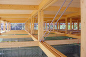 A view into the truss level