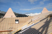 Roofscape