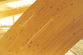 Detailed view of a rehabilitated adhesive joint
