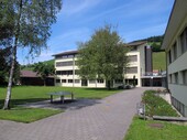 Vue